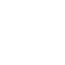 icon_escudo
