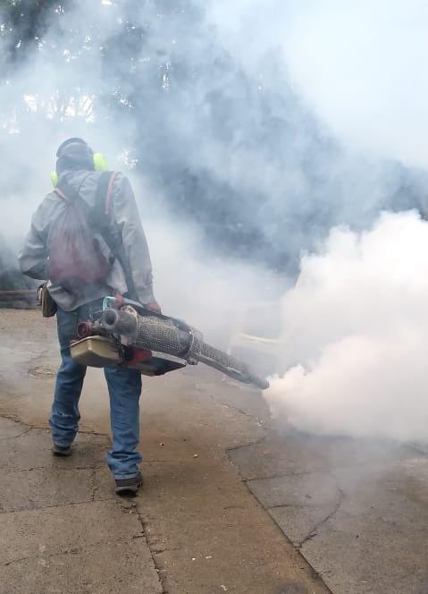 dengue 1